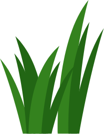 grass